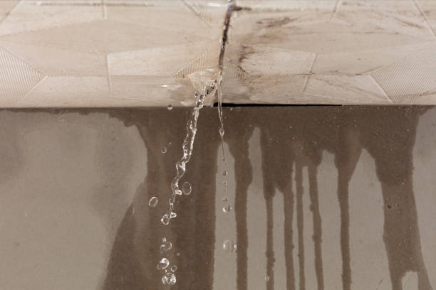 Professional Water Extraction technician working in Kaufman, TX